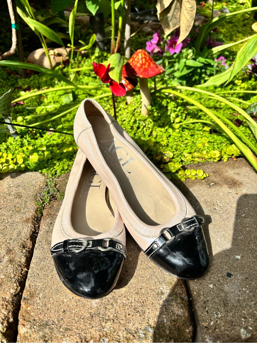 Attilio Giusti Leombruni Beige and Black Cap-Toe Ballet Flats